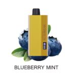 TEQ TEQ 12000 Puffs - Image 12